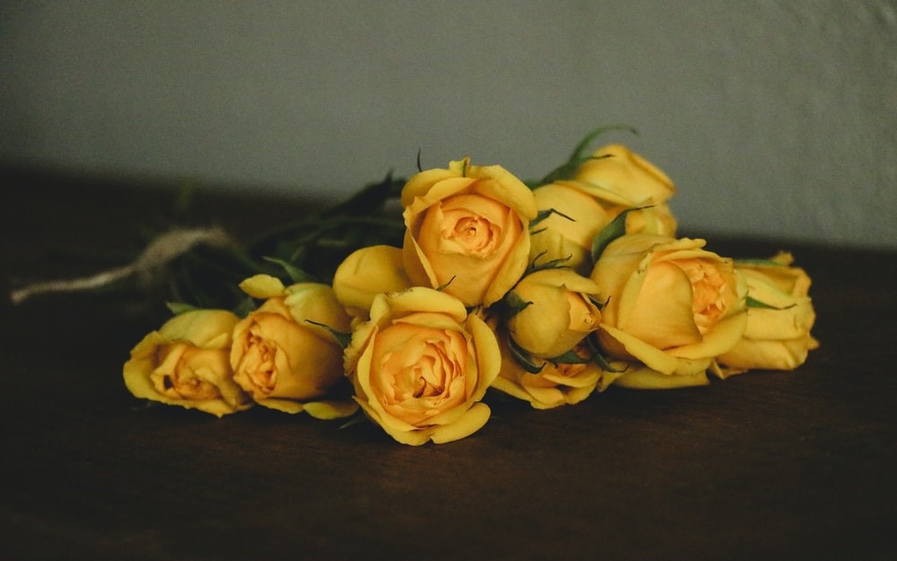 yellow rose flowesr