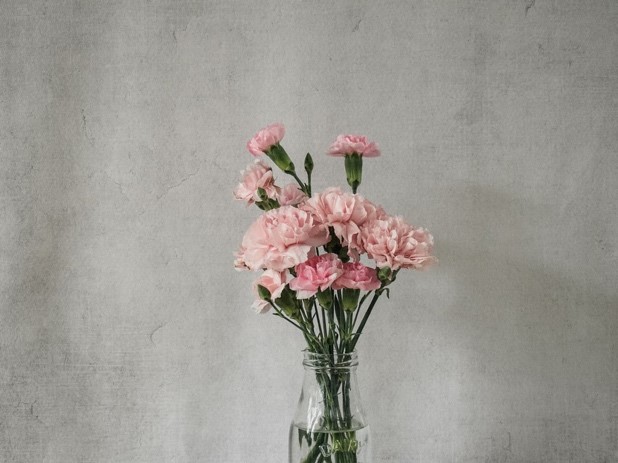 pink flowers in clear glass vase
